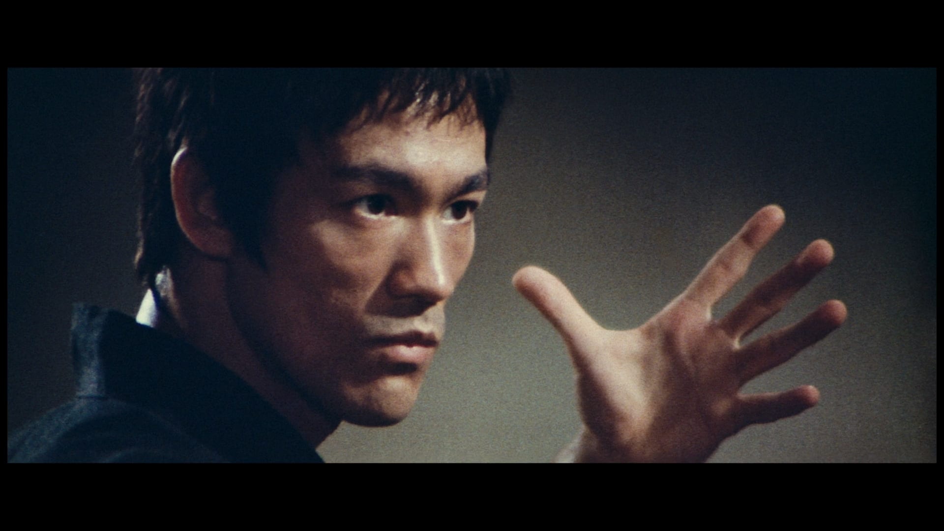 Film kung fu jungle sub indo film brogogreen